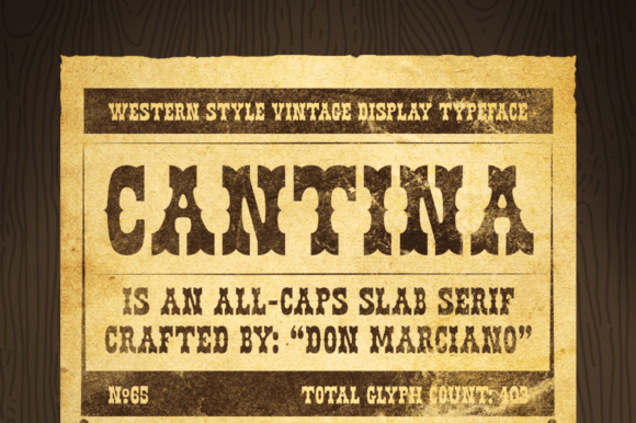 Cantina: A Bold Slab Serif Font for Web Design