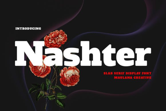 Nashter: A Bold and Trendy Slab Serif Font for Modern Publishing