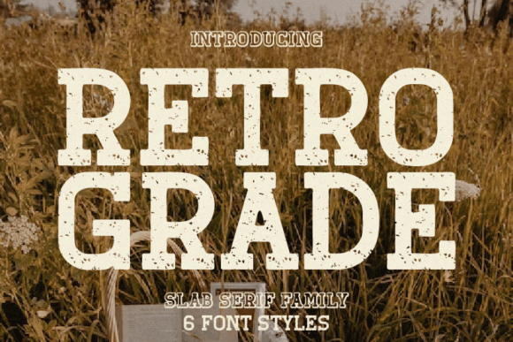 Retro Grade: A Nostalgic Slab Serif Font for Makers